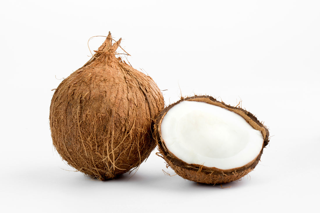 ココナッツミルク、ココナッツウォーター、ココナッツオイルの違い、効果や使い方を徹底解説！