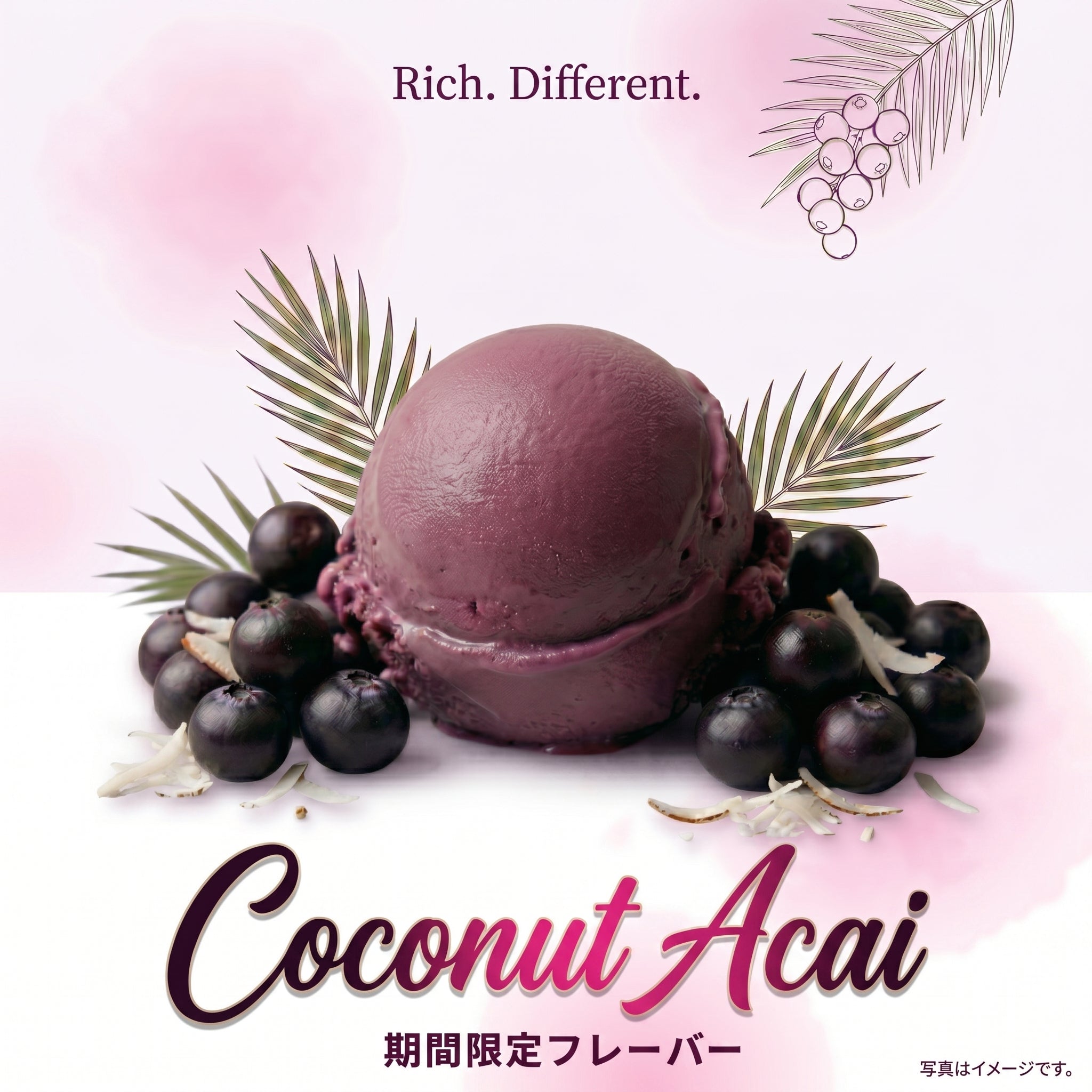 選べるセット – Coconut Glen's